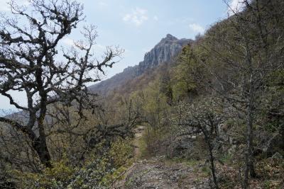 Прикрепленное изображение: A58-2 DSC00329.JPG